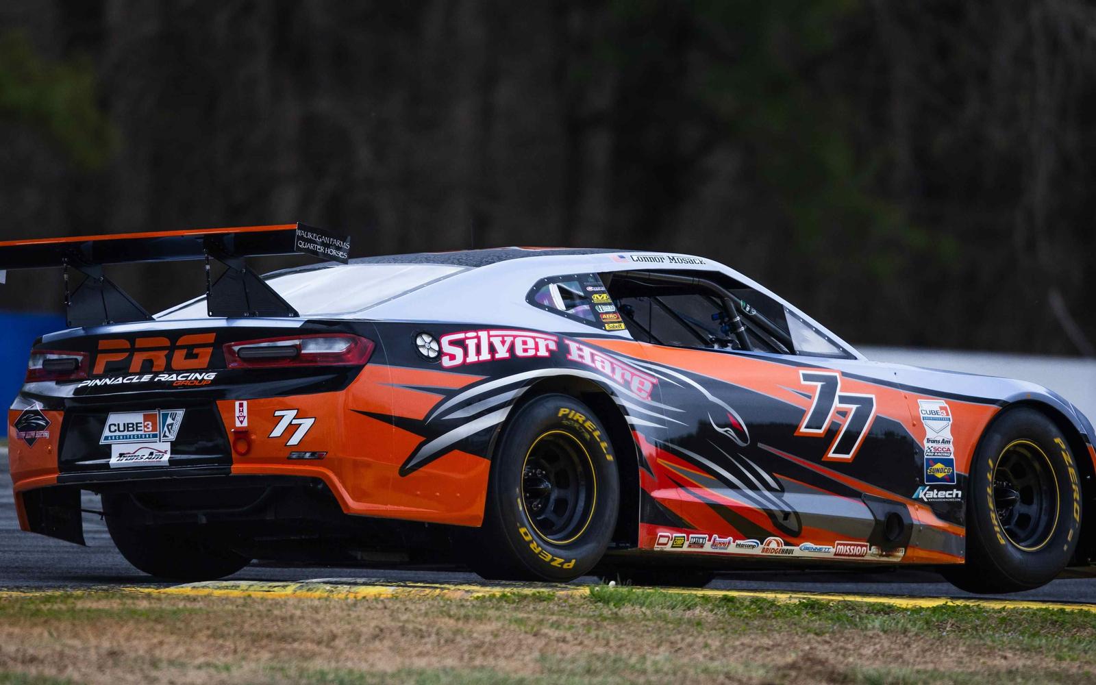 Silver Hare Trio Targets Winning Run at NOLA